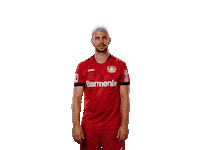 Bayer 04 Hello Sticker by Bayer 04 Leverkusen