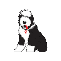 Dwellrealtyeasttexas Sticker by Dwell Realty