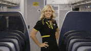 SpiritAirlines fly letsgo spirit spiritairlines GIF