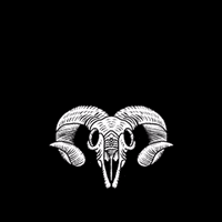 Tattd  GIF