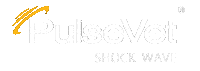 Shockwave Veterinarian Sticker by PulseVet