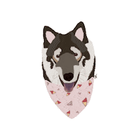 Dog Appa Sticker