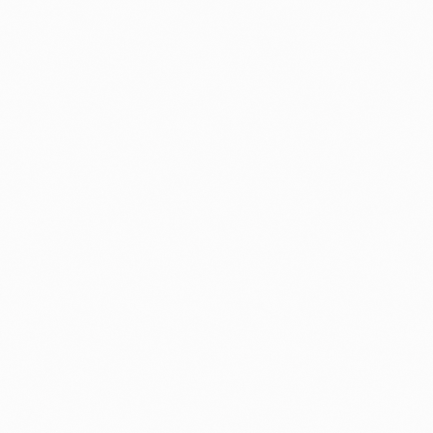 GIF by The Active Chimp