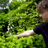 Summer Flowers GIF by FOURCE