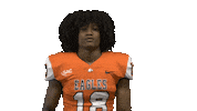 No Way Thumbs Up Sticker by Carson-Newman Athletics