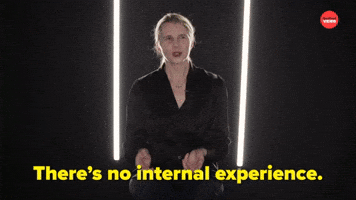 There's No Internal Experience 