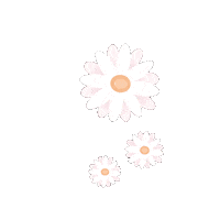 unjaunecitron flowers fleurs marguerite unjaunecitron Sticker