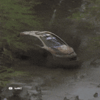 Sending It Mud Bath GIF by FIA World Rally Championship