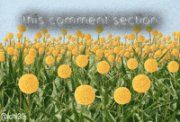 Comment GIF
