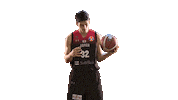 World Cup Game Sticker by FIBA