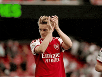 Arsenal GIF by memes