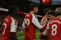 Arsenal GIF by memes