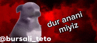 Evrim GIF