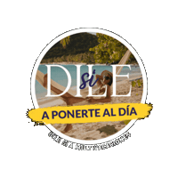 Dile Sí Sticker by Multivacaciones Decameron