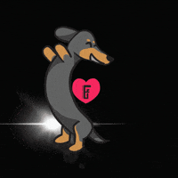 Dance Dog GIF