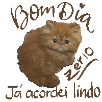 Bom Dia Zerio Sticker
