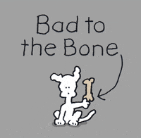 chippythedog dog dogs bad chippythedog GIF
