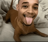 Dog Flight GIF