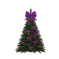 New Year Christmas Sticker by One Albania