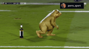 River Gallardo GIF