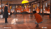 Annie Live GIF by NBC