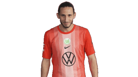 Happy Football Sticker by VfL Wolfsburg