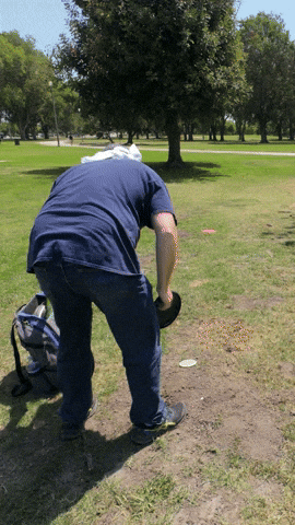 discingwithdale giphyupload GIF