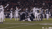 Adidas Bobcats GIF by Texas State Football