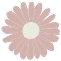 thetealwindow flower pastel pink thetealwindow Sticker
