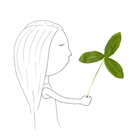 ecuador aftereffects GIF by cintascotch