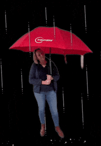 Rainy Day Rain GIF by De Graafschap Dierenartsen