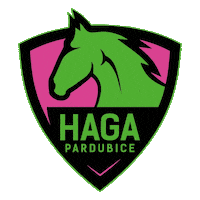 HAGAPardubice florbal haga florbalpardubice hagaspojuje Sticker