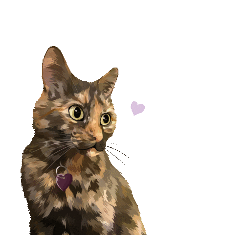 Cat Pet Sticker by Watertown Humane Society