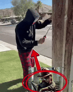 Spongebob GIF by Giggles