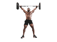Fitness Crossfit Sticker by FNX