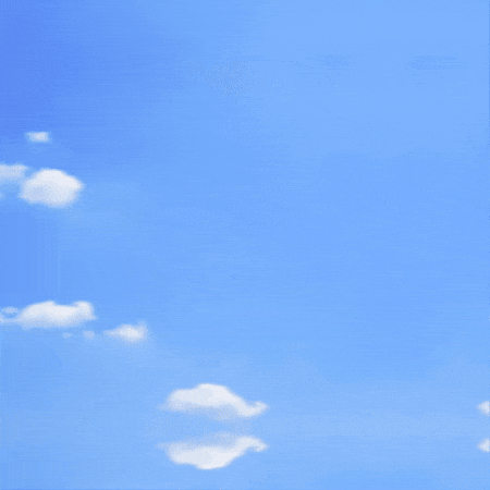 Fly Away Bird GIF by TeaCosyFolk