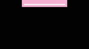 thepinkfinch the pink finch GIF