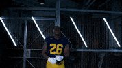 Go Blue Ncaa Football GIF by Michigan Athletics