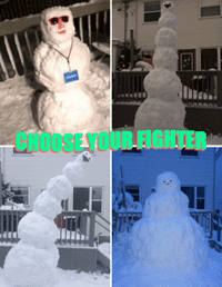 Choose Your Fighter GIF by jOnNy'S wOrLd