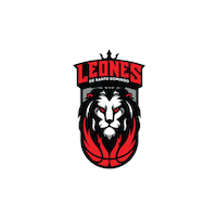 Basketball Team Sticker by Sporter