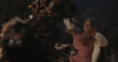 Halloween Bird GIF by Crypt TV