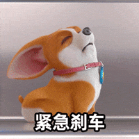 mocoaifay animation dog cartoon corgi GIF