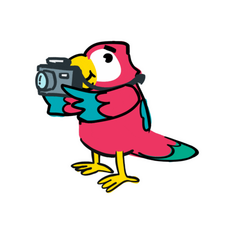 Macaotech giphygifmaker honduras development elearning Sticker