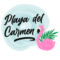 Angel_Meraw playa del carmen riviera maya quintana roo Sticker