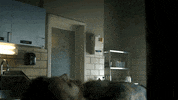 edward nygma fox GIF by Gotham