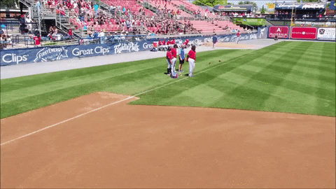 dance floss GIF by Reading Fightin Phils