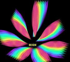 High Life Cannabis GIF by Sensi Magazine