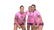 NAHB_officiel handball nantes lbe nahb Sticker