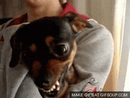 will colin cowherd GIF