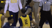 March Madness GIF by Michigan Athletics